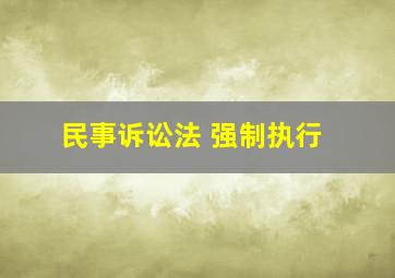 民事诉讼法 强制执行